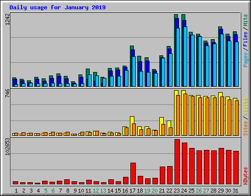 Daily usage for January 2019