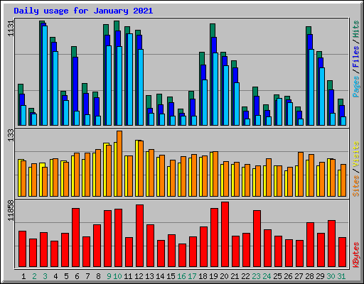 Daily usage for January 2021