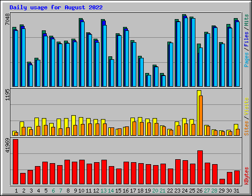 Daily usage for August 2022