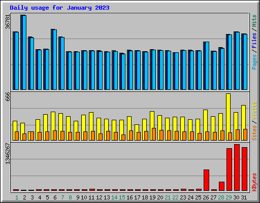 Daily usage for January 2023