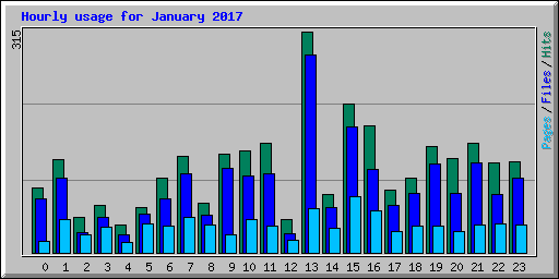 Hourly usage for January 2017