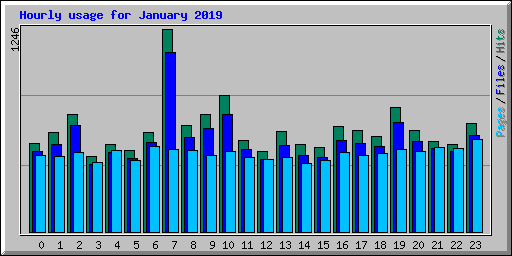 Hourly usage for January 2019