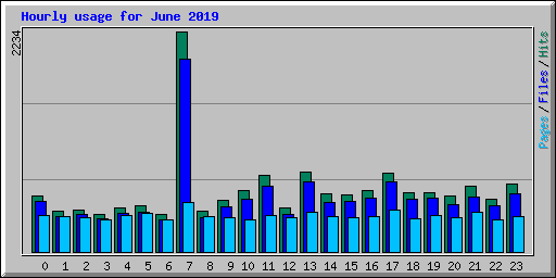 Hourly usage for June 2019