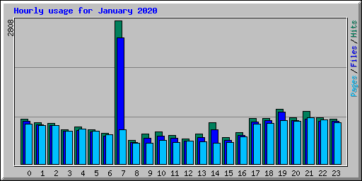Hourly usage for January 2020