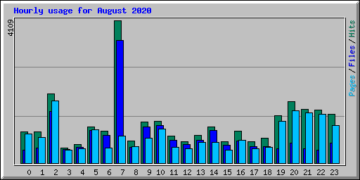 Hourly usage for August 2020