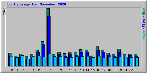 Hourly usage for November 2020