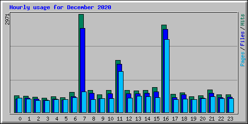 Hourly usage for December 2020