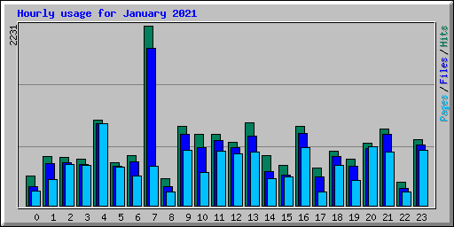 Hourly usage for January 2021