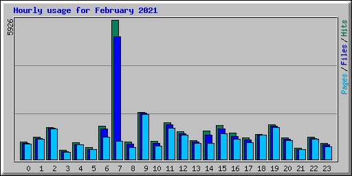 Hourly usage for February 2021