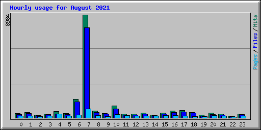 Hourly usage for August 2021