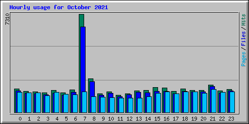 Hourly usage for October 2021