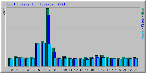 Hourly usage for November 2021