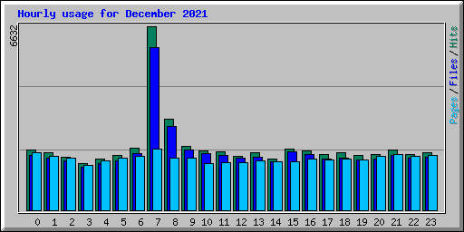 Hourly usage for December 2021