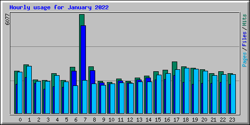 Hourly usage for January 2022