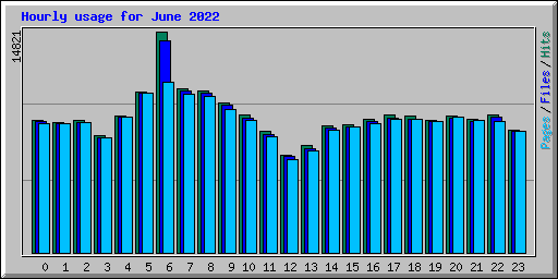 Hourly usage for June 2022