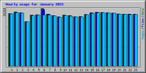 Hourly usage for January 2023